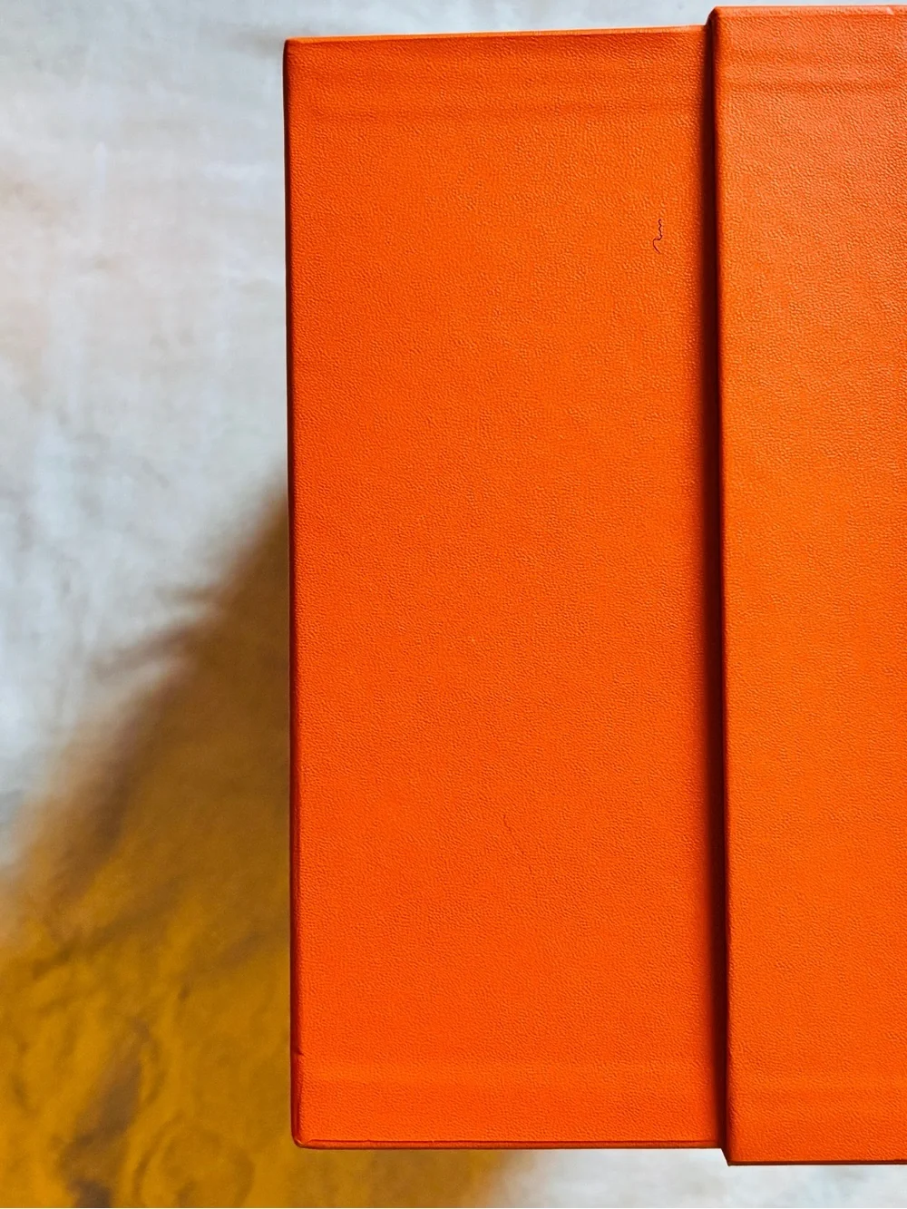 Hermès Paris Orange Shoe Box Ribbon Le Jean Care Booklet Packaging